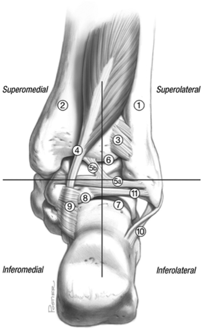 Fig 4