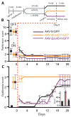 FIG 2