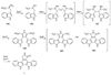 Fig. 24