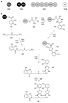 Fig. 19