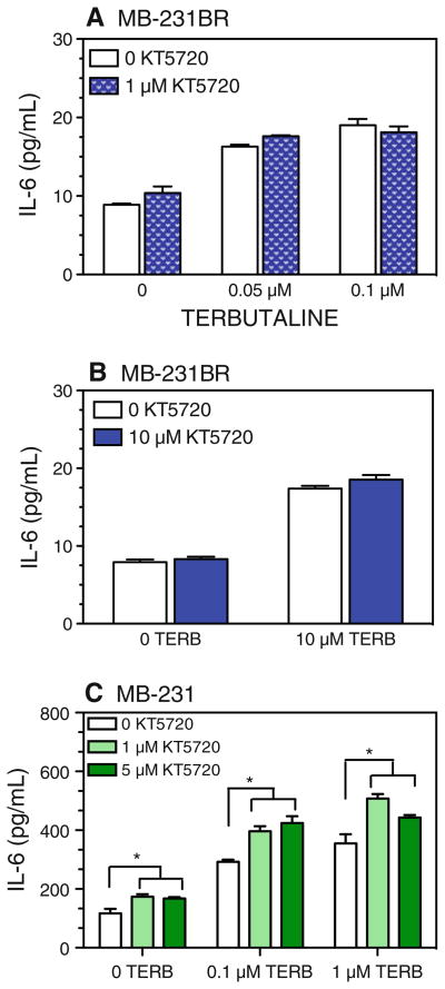 Fig. 9