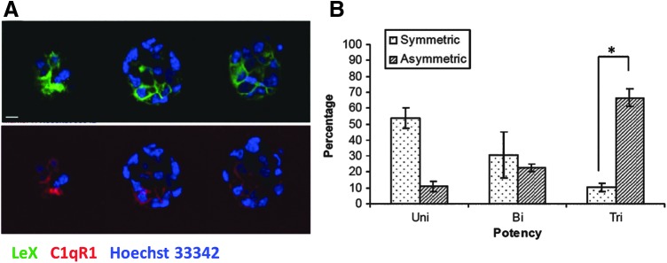 FIG. 6.