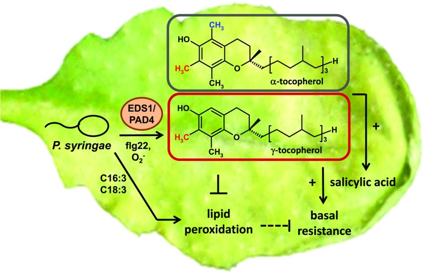 Figure 10.