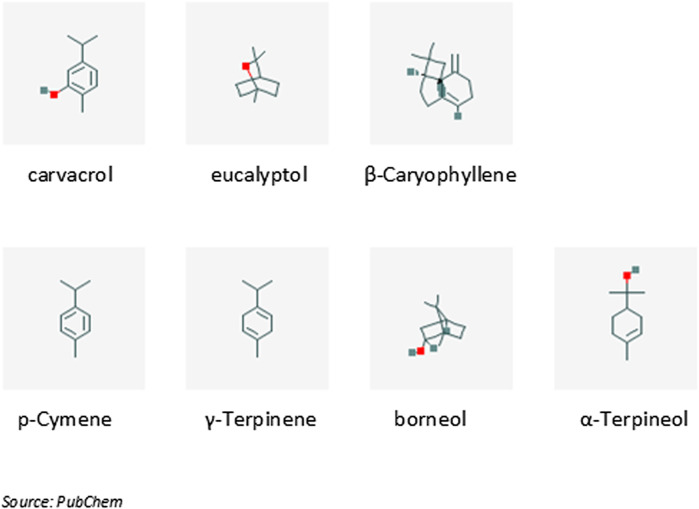 FIGURE 2