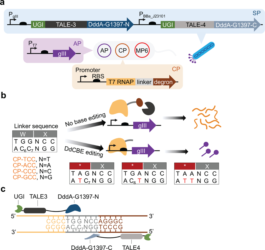 Figure 1 |