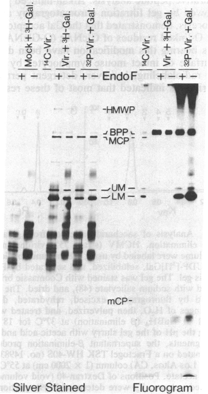 graphic file with name pnas00260-0167-a.jpg