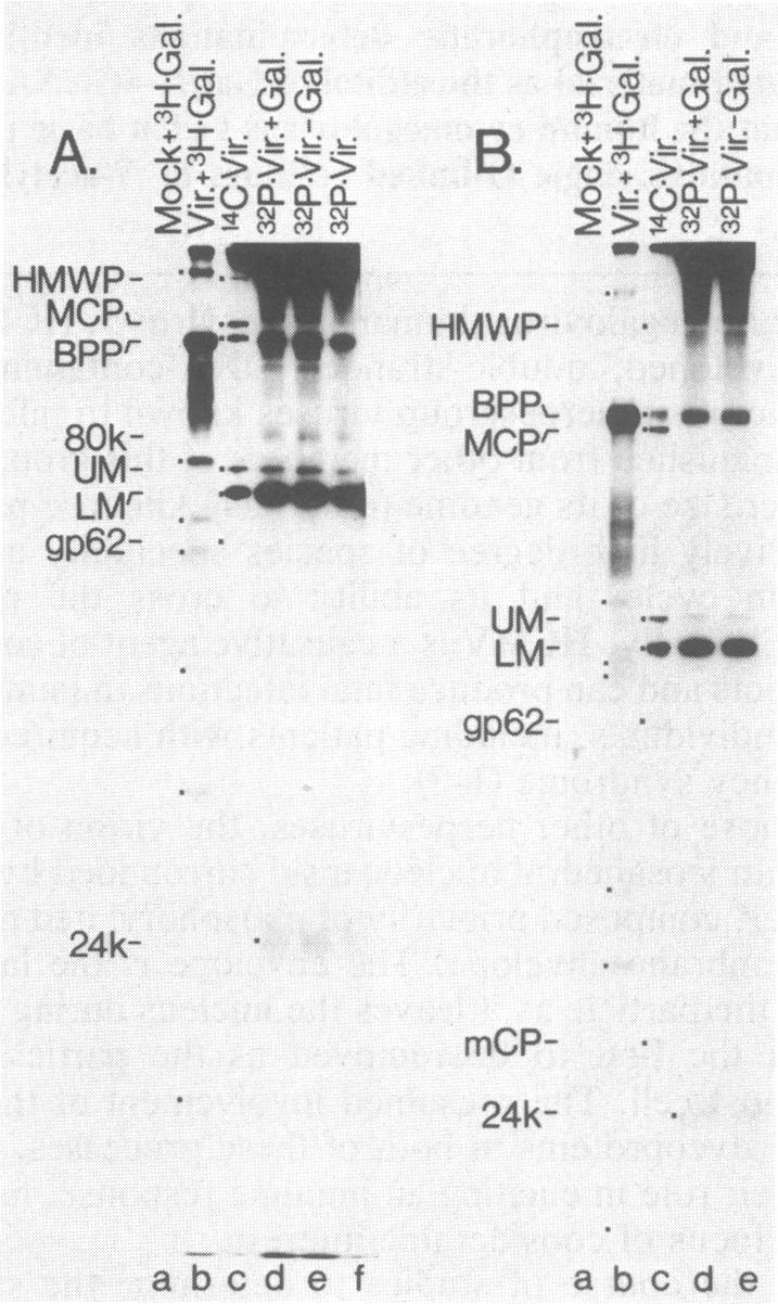 graphic file with name pnas00260-0166-a.jpg