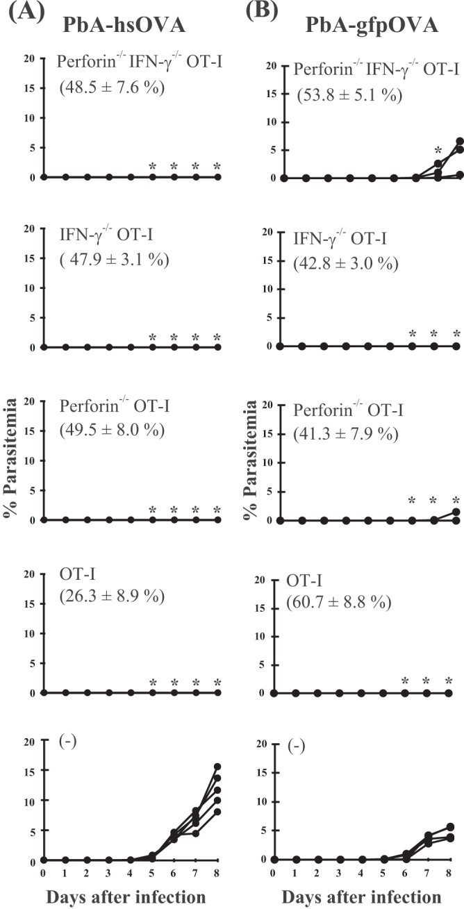 Fig 5