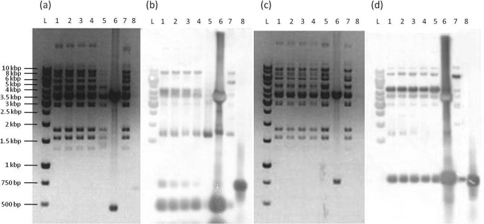 FIG 4