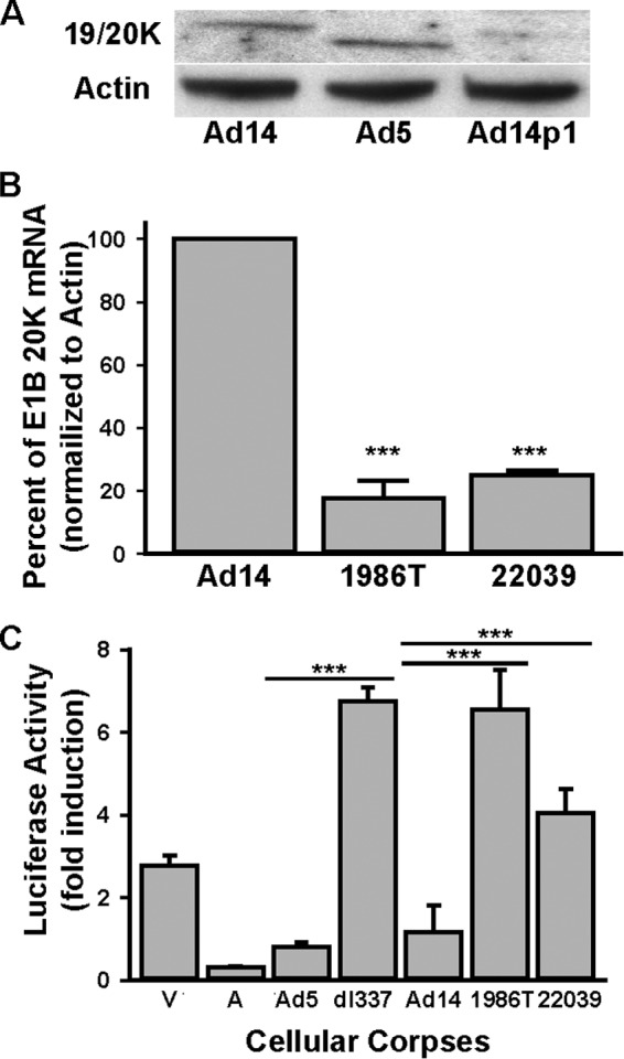 FIG 3