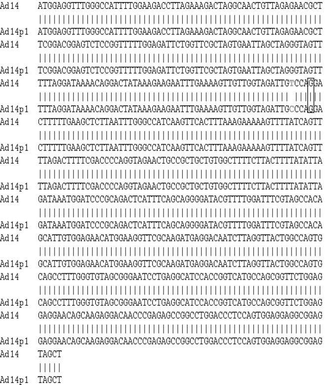 FIG 2