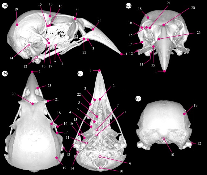 Figure 2.