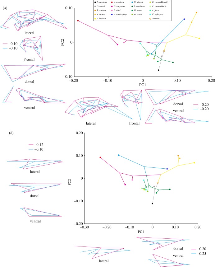 Figure 6.