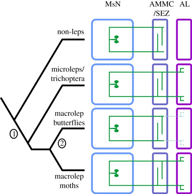 Figure 5.