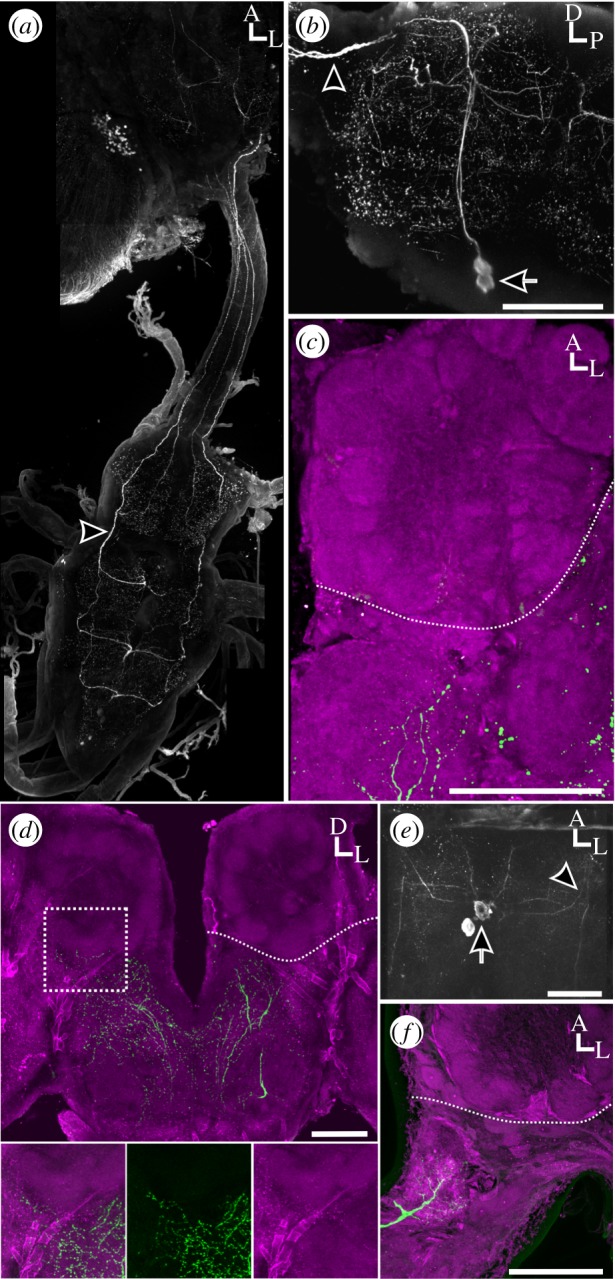 Figure 2.