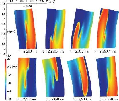 Figure 3: