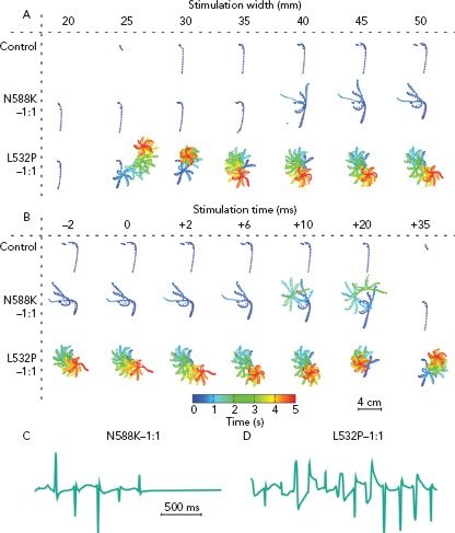 Figure 4: