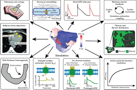 Figure 2: