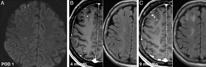 Fig 1.