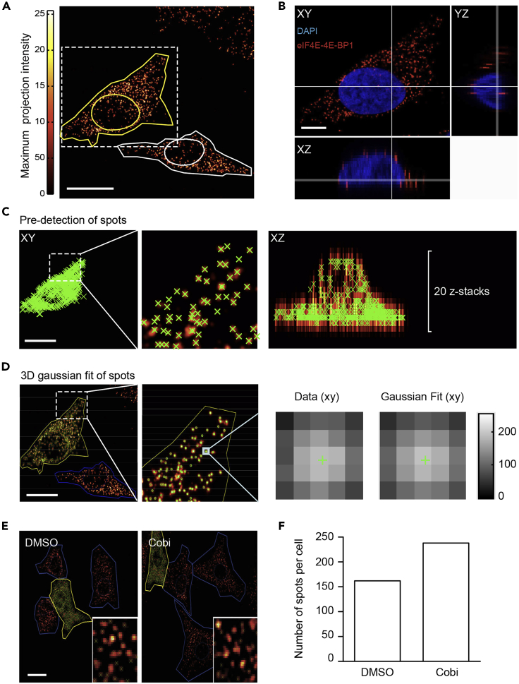 Figure 4