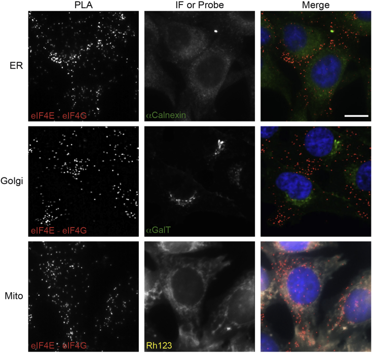 Figure 3