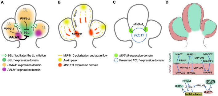 FIGURE 3