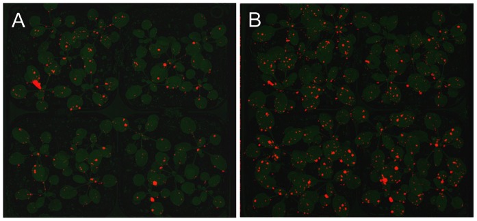 Figure 3.