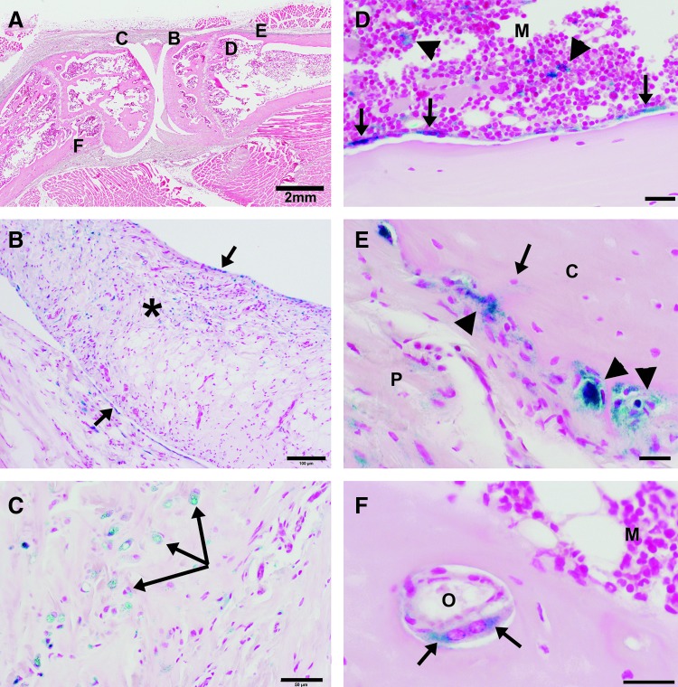 FIG. 6.