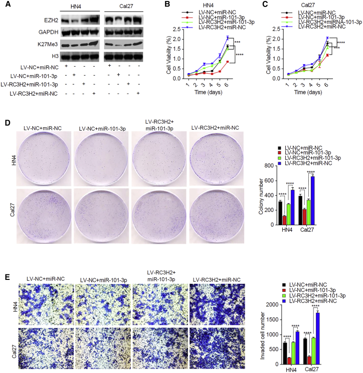 Figure 6