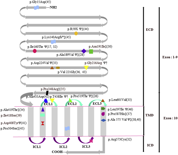 Figure 3