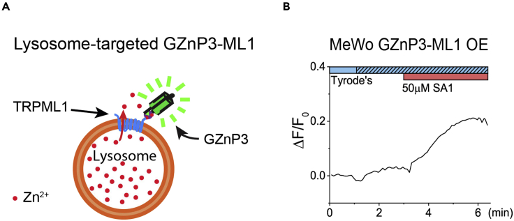 Figure 4