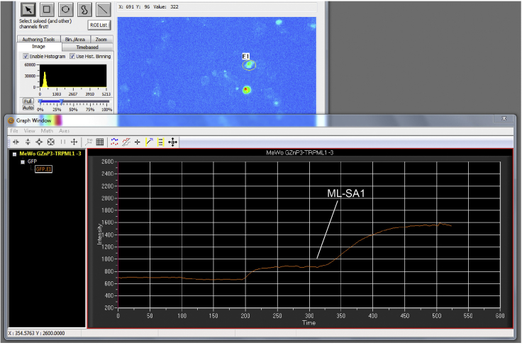 Figure 3