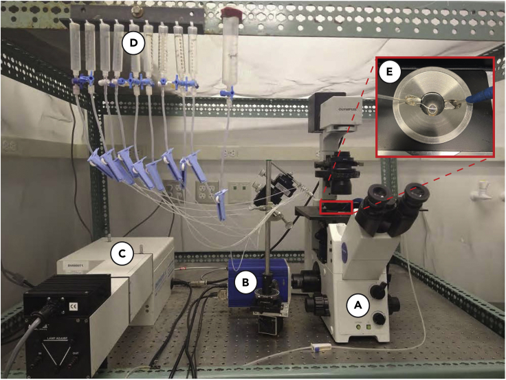 Figure 1