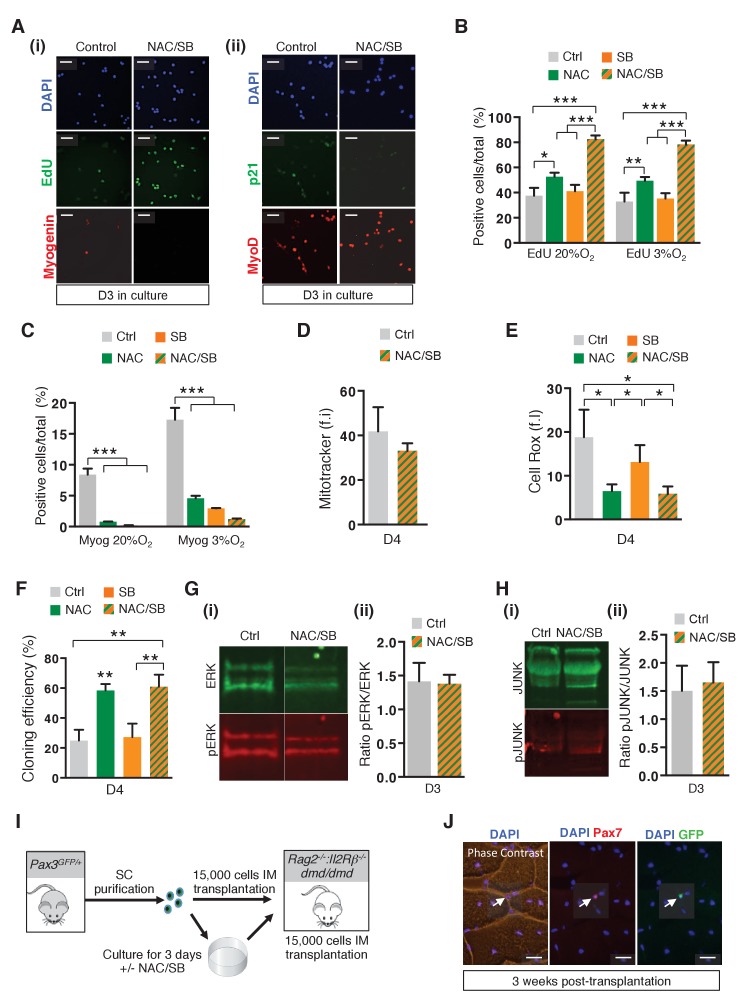 Figure 6—figure supplement 1.