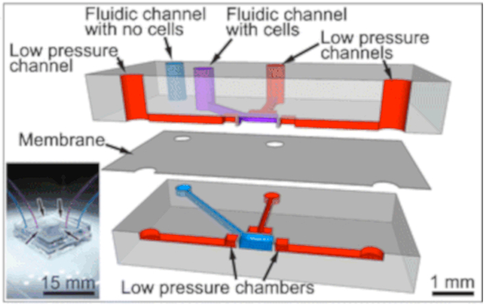 Figure 3.