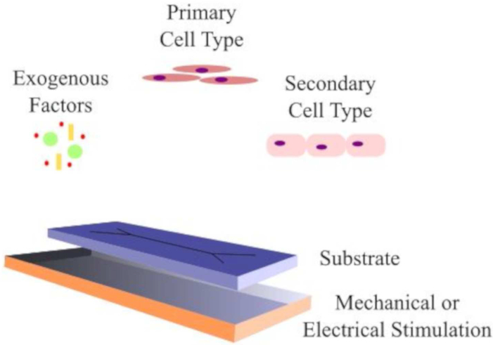 Figure 2.