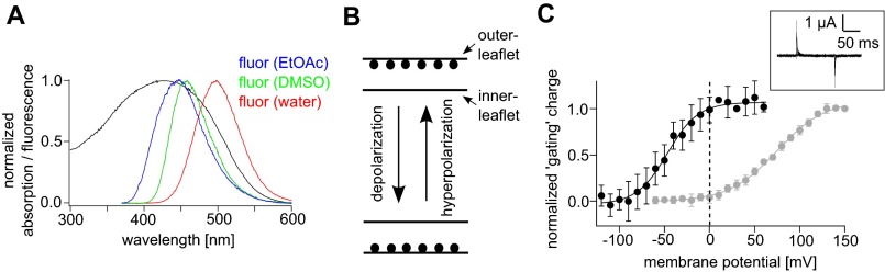 Fig. S6.