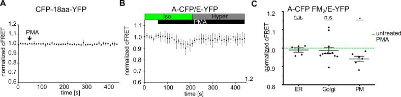 Figure 4—figure supplement 1.