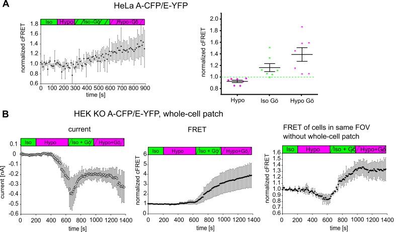 Figure 4—figure supplement 2.