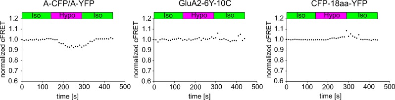 Figure 1—figure supplement 1.