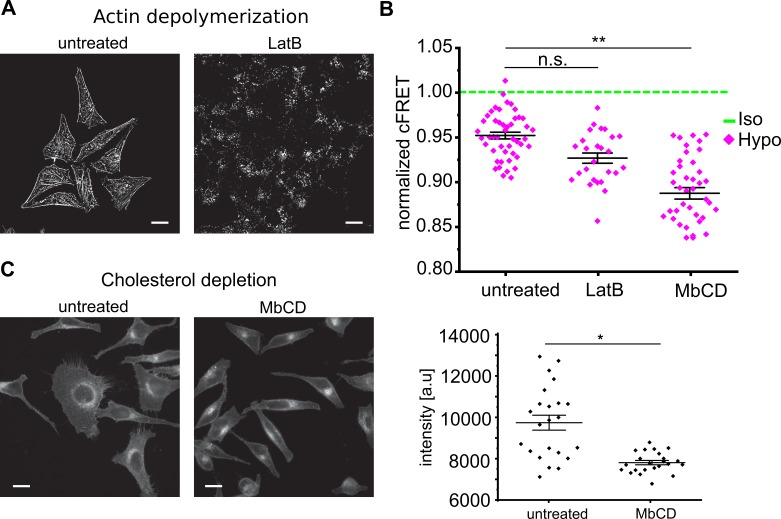 Figure 3—figure supplement 2.