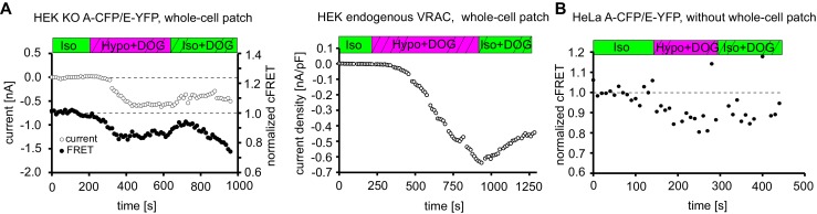 Figure 5—figure supplement 1.