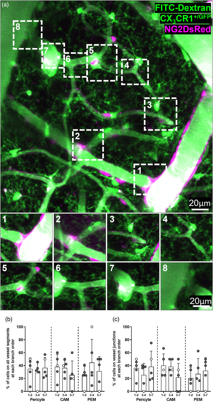 FIGURE 2