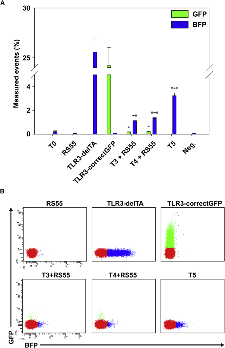 Figure 4