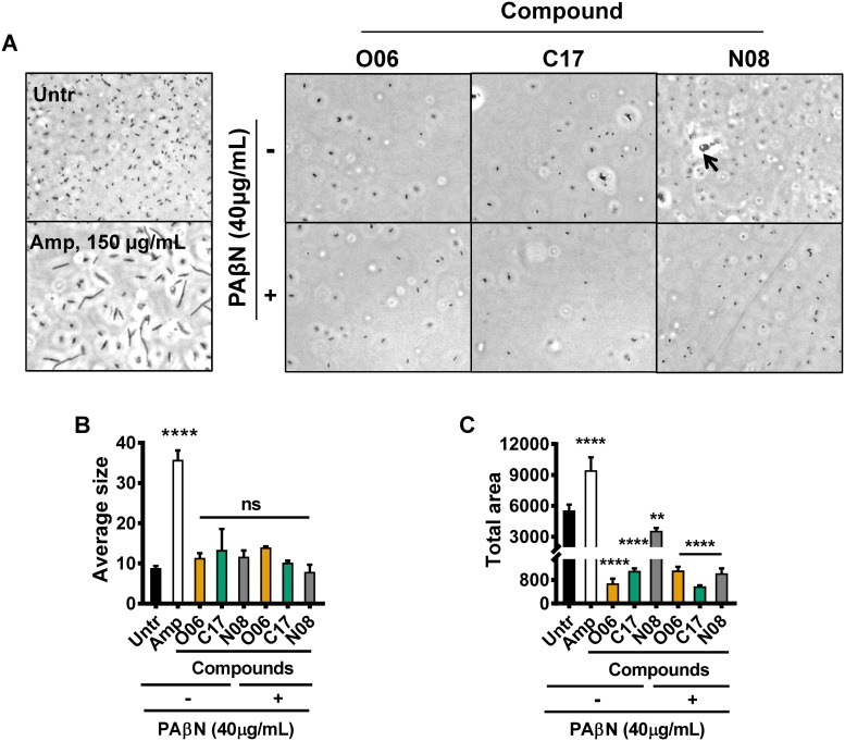 Fig 6