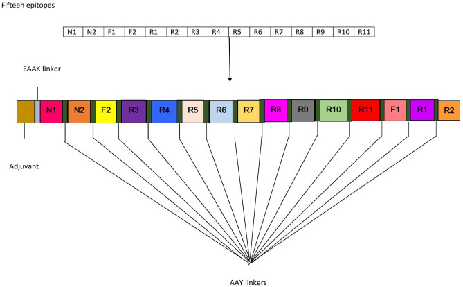 Fig 2