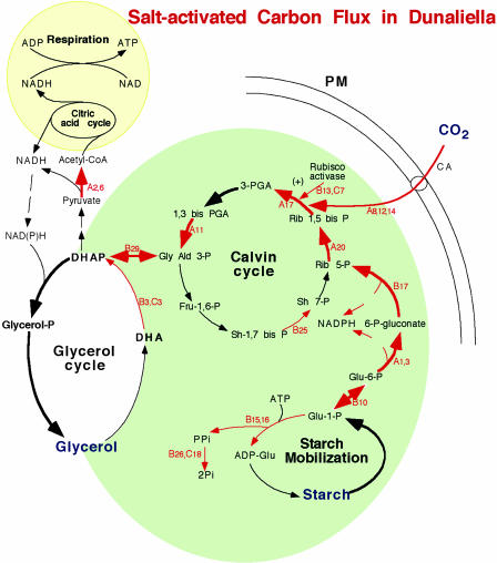 Figure 4.