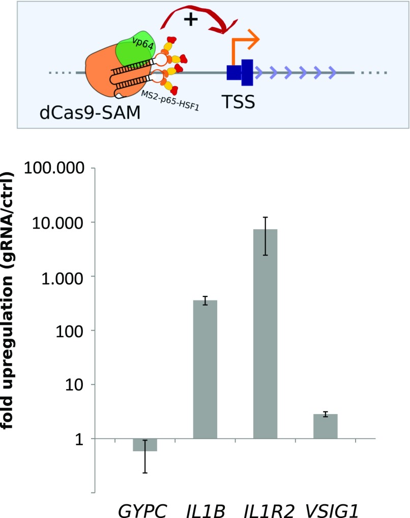 Figure 3.