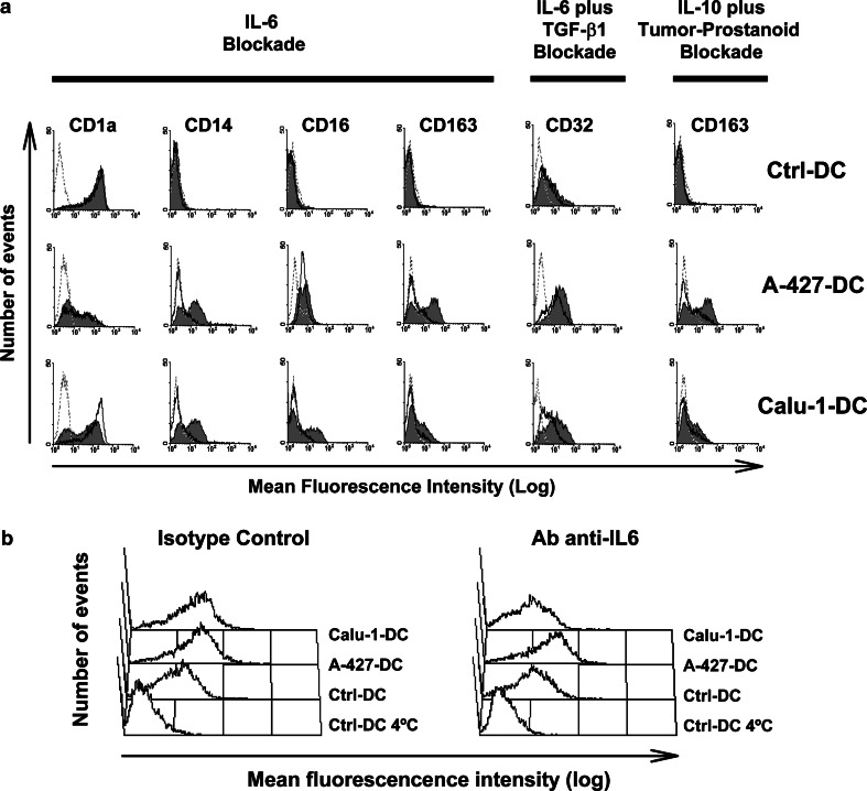 Fig. 6