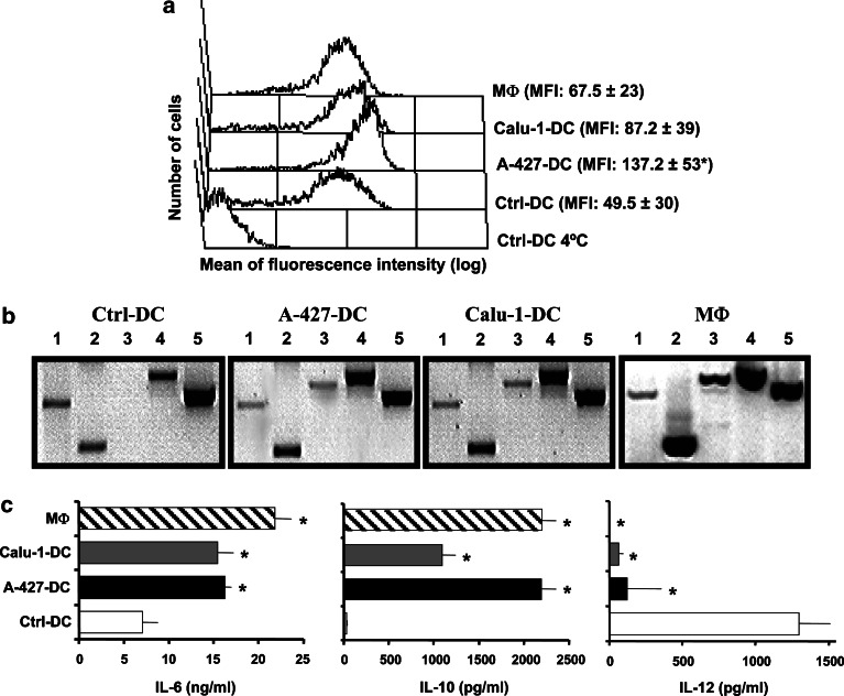 Fig. 4